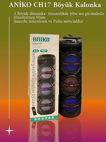 Digər auditexnika: Aniko CH17 Böyük Kalonka - 90sm hündürlüyüdür - 60W səs gücüdür - — 1