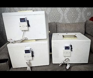 İnkubatorlar: Bütün növ quşlaq üçün — 4