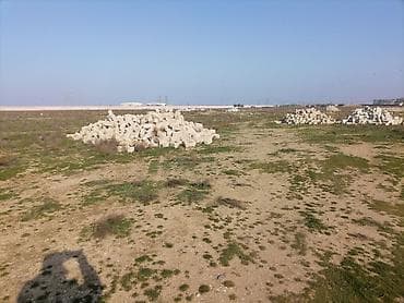 torpaa: 3 sot, Kənd təsərrüfatı, Mülkiyyətçi, Kupça (Çıxarış) — 4