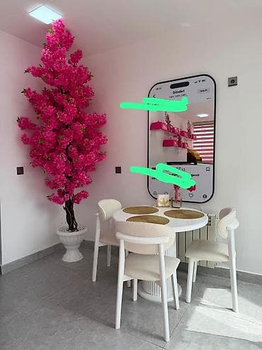 bilgisayar seti: Stol stul 300 Azn. İnstaqram güzgü 100 Azn. Sakura agac 280 Azn — 1