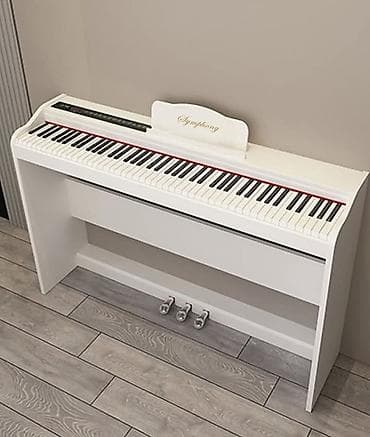 детский синтезатор на ножках: Пианино, Цифровой, Новый, Бесплатная доставка — 2