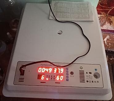 Tam avtomatik yumurta inkubator şəffaf qab cücələrini çıxımına baxa — 1