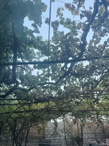 мадейра мебель: Новый, Диван, 2 кресла — 23