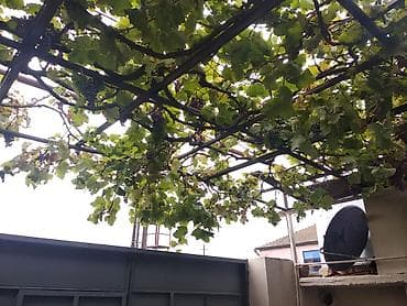 4 otaqlı, 150 kv. m, Kredit yoxdur, Orta təmir — 7