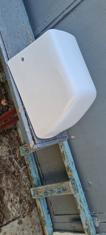 tülpanın qiyməti: Tulpan altdigi satilir Turkiyenindi qiymeti 60 manat — 2