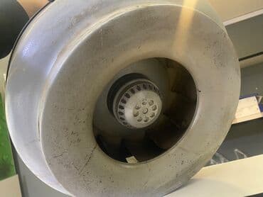 rowenta fen qiymeti: Fen Braun — 2