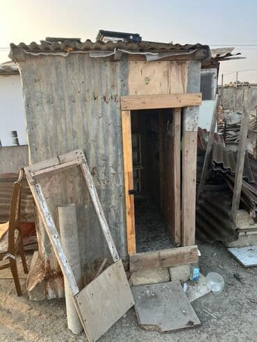 Akvarium aksessuar və ləvazimatları: Göyərçinlər zabratdadı hamsı uçan quşlardı isdəyən olsa gəlsin həyətdə — 10