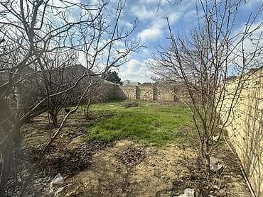 absheron: 3 sot, Tikinti, Maklerlər narahat etməsin, Kupça (Çıxarış) — 9