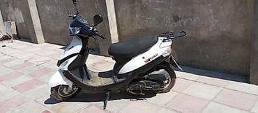 qus bazari bakida: Heyvanlar üçün digər mallar — 4