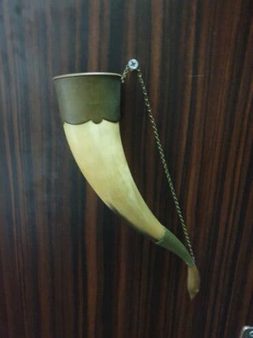 hisə verilmiş quyruq: Fil buynuzu — 1