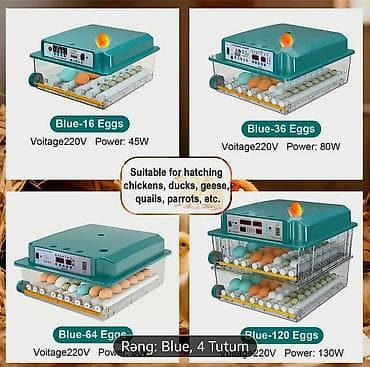 Yeni tam avtomatik inkubator 120 yumurta.Akumlyator 12V qoşulma