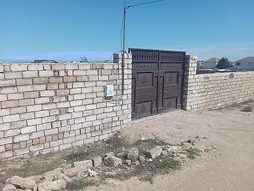 merdekan torpaq: Tikinti — 4