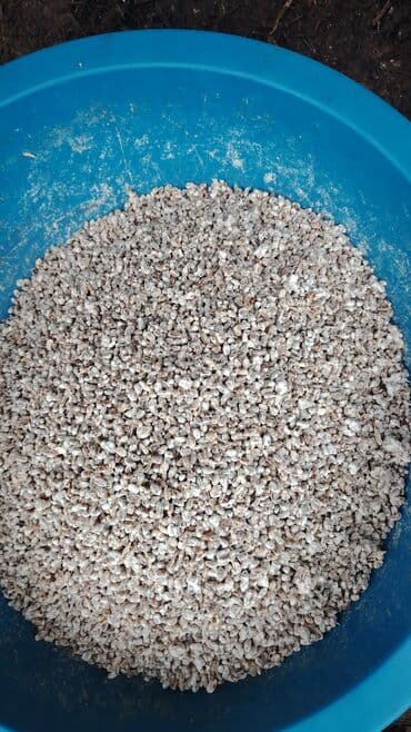 şam ağac: Salam hərvaxtınız xeyir, "CHAMPION GROUP" olaraq sizlərin qarşısına — 9