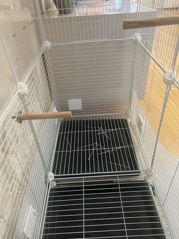 Ət: Qəfəs satılır təzədir
117 sm hündürlük,en 36 sm,uzunluq 72 sm — 2