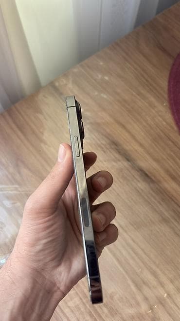 IPhone 13 Pro Max, 256 GB, Graphite — 3