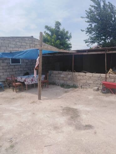 xacmaz rayonu: Bakı, Qala qəs., 550 kv. m, 3 otaqlı, Hovuzsuz, Artezian quyusu, Qaz, Su — 11