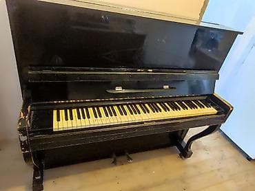 lora piano: Piano, Akustik, İşlənmiş, Ünvandan götürmə, Ödənişli çatdırılma — 1