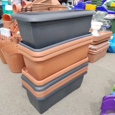 Digər bitkilər: Dibçək. Müxtəlif ölçü və modellər mövcuddur. Fərqli qiymətlərdədir — 18