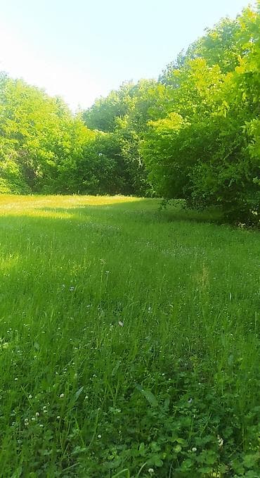 1 hektar nece km dir: 64 sot, Kənd təsərrüfatı, Mülkiyyətçi, Kupça (Çıxarış) — 8