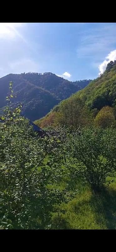 masazirda evlerin satisi: 14 sot, Tikinti, Mülkiyyətçi, Kupça (Çıxarış) — 8