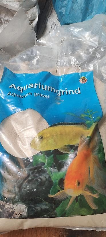 Natural Tanganika qumu 1 kilosu 3 azn