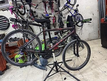 velasupet: Şəhər/trek tipli velosiped Xüsusiyyətlər: - Polad gövdə, tünd — 3