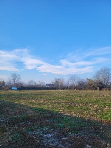 torpaa: 42 sot, Mülkiyyətçi, Kupça (Çıxarış) — 2