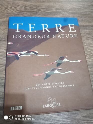 1 dollar neçe manatdir: Salam kitablar satilir 1ededin gimeti 20 manat hamsini alan olsa — 5