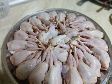 toyuq doş ətinin qiyməti: 190- 210 qr kesilib temizlenmis bildircinler ve mayali bildircin — 1
