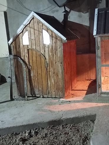 zil qara afcarka: Taxta quşxana / toyuq evi - Material: bütöv taxta panellər, damı — 3