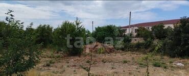 kiraye evlər: Tikinti, Mülkiyyətçi — 2