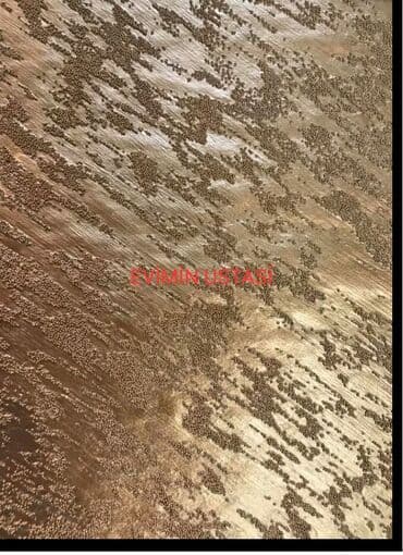 текстура внутри дома: Dekorariv işlər. Sədəf boya işləri mirvari — 6