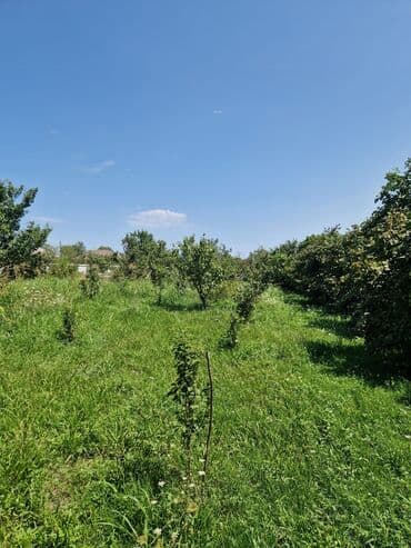 купить бак для воды: Xaçmaz, 160 kv. m, 3 otaqlı, Qaz, İşıq, Su — 14