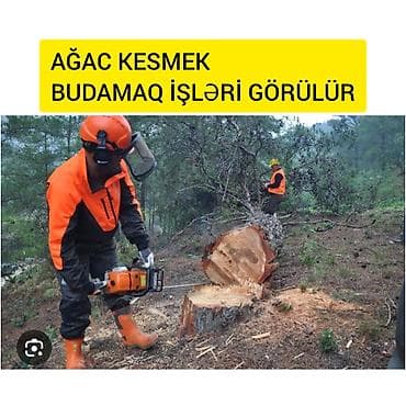 Ağac kesmek budamaq işləri görülür.🪚 Kotukleri səliqəli dogramaq qol