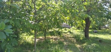 объявления о продаже земельных участков: 10 соток, Для сельского хозяйства — 3