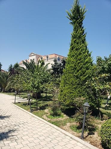 sabuncuda ev: Ayin 20 sinden bosdur bag evimiz — 5