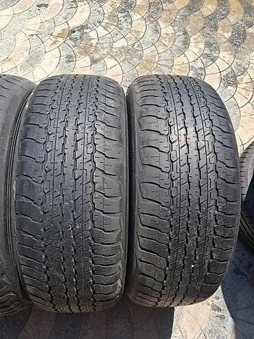 245 65 17: Dunlop AT22 şinlər dəsti - Brend/model: Dunlop Grandtrek AT22 - Ölçü — 2