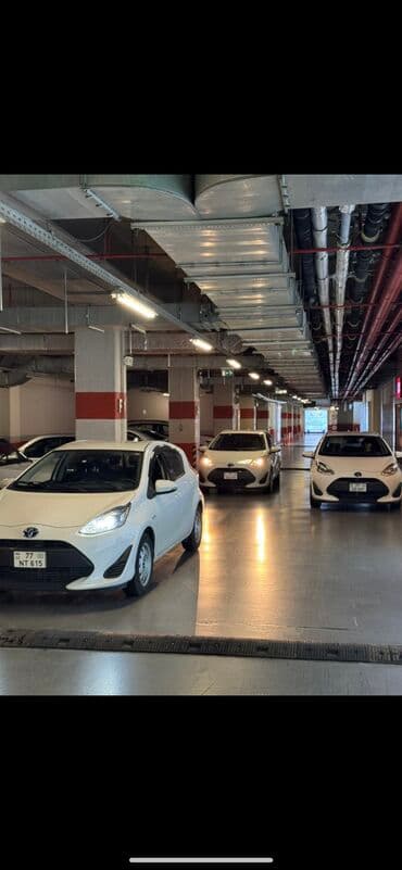 Avtoservis, nəqliyyatın təmiri: Aylıq, Toyota — 11