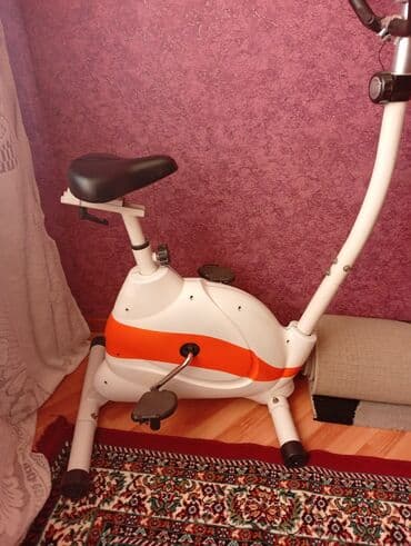 Другое для спорта и отдыха: Məhsul: Ev üçün velotrenajor - Tip: Mexaniki/maqnit tipli şaquli — 1