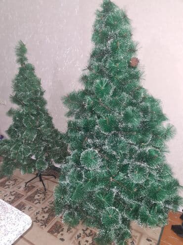 150sm- 50azn 170sm-75azn Oyuncaqla zerle elave 20azn Prablemsiz yaxsi