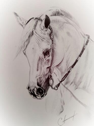 Şəkil və rəsmlər üçün çərçivələr: Salam. Gördüyünüz şəkillər hamısı öz əl işlərimdir və satışdadır — 4