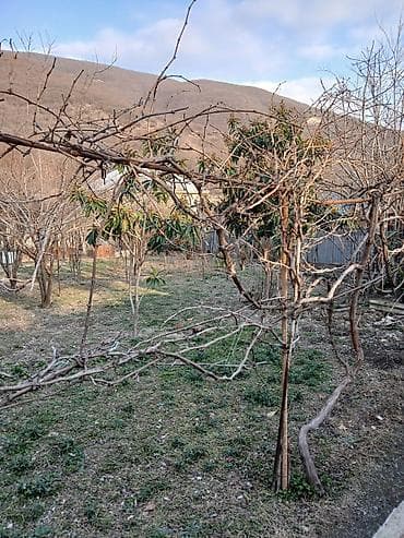 долгосрочная аренда земли: Biznes üçün, Qaz, İşıq, Su — 6