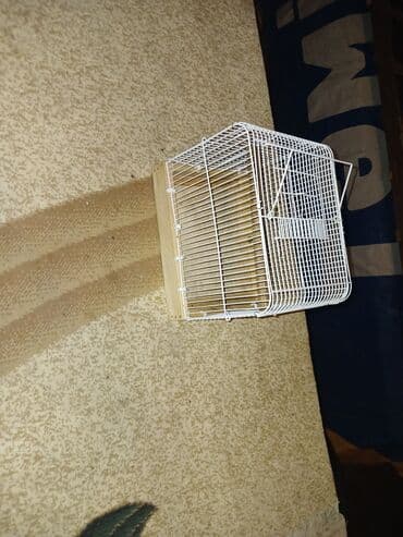 quş hini: Qefes — 3