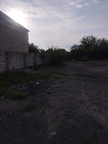 bolt hansi masinlari qebul edir: 12 sot, Tikinti, Makler, Kupça (Çıxarış), Bələdiyyə — 6
