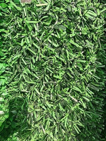 hasar setka: 🌿 Süni Çəpər – Təbii Gözəlliyin Süni Həlli! 🌿 📏 Eni 1.00 metr olur 📏 — 5