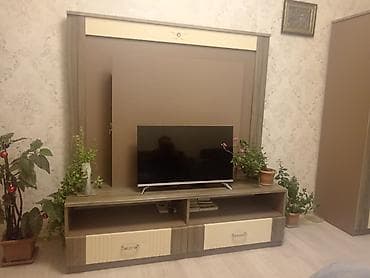 автомобильный телевизор: Прямой ТВ стенд, С полками, Ламинат — 1