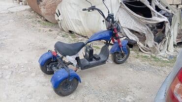 mataskl: - MINGO, 50 sm3, 2024 il, 52 km — 2