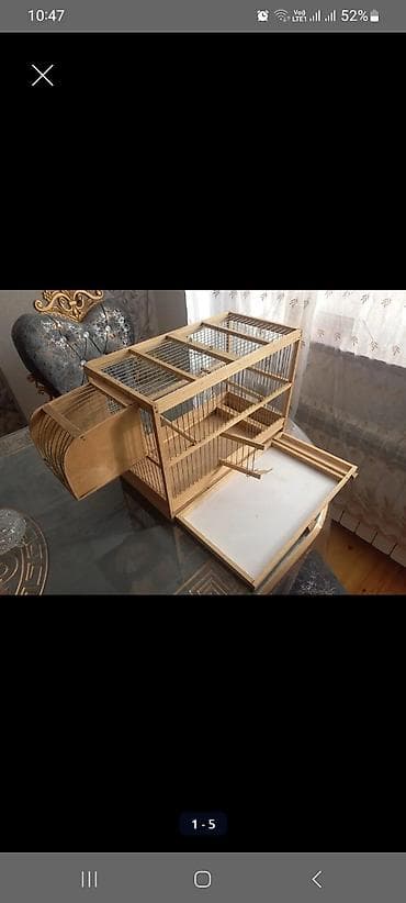 quş ucun qəfəs: Məhsul: Kanareyka quşları və qəfəs Təsvir: - Şəkillərdə gördüyünüz — 2