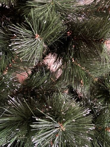 Bitkilər: Şam ağacı, 175 cm — 2