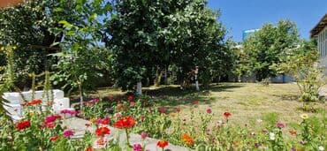 torpaq mingecevir: 12 sot, Tikinti, Makler, Kupça (Çıxarış) — 21